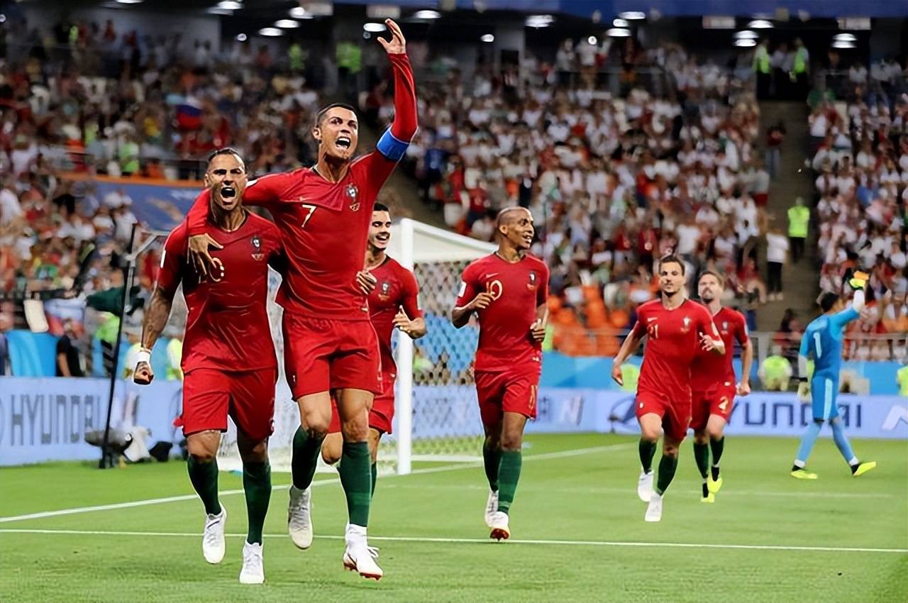 波兰队遗憾出局，欧洲杯之旅憾别的简单介绍